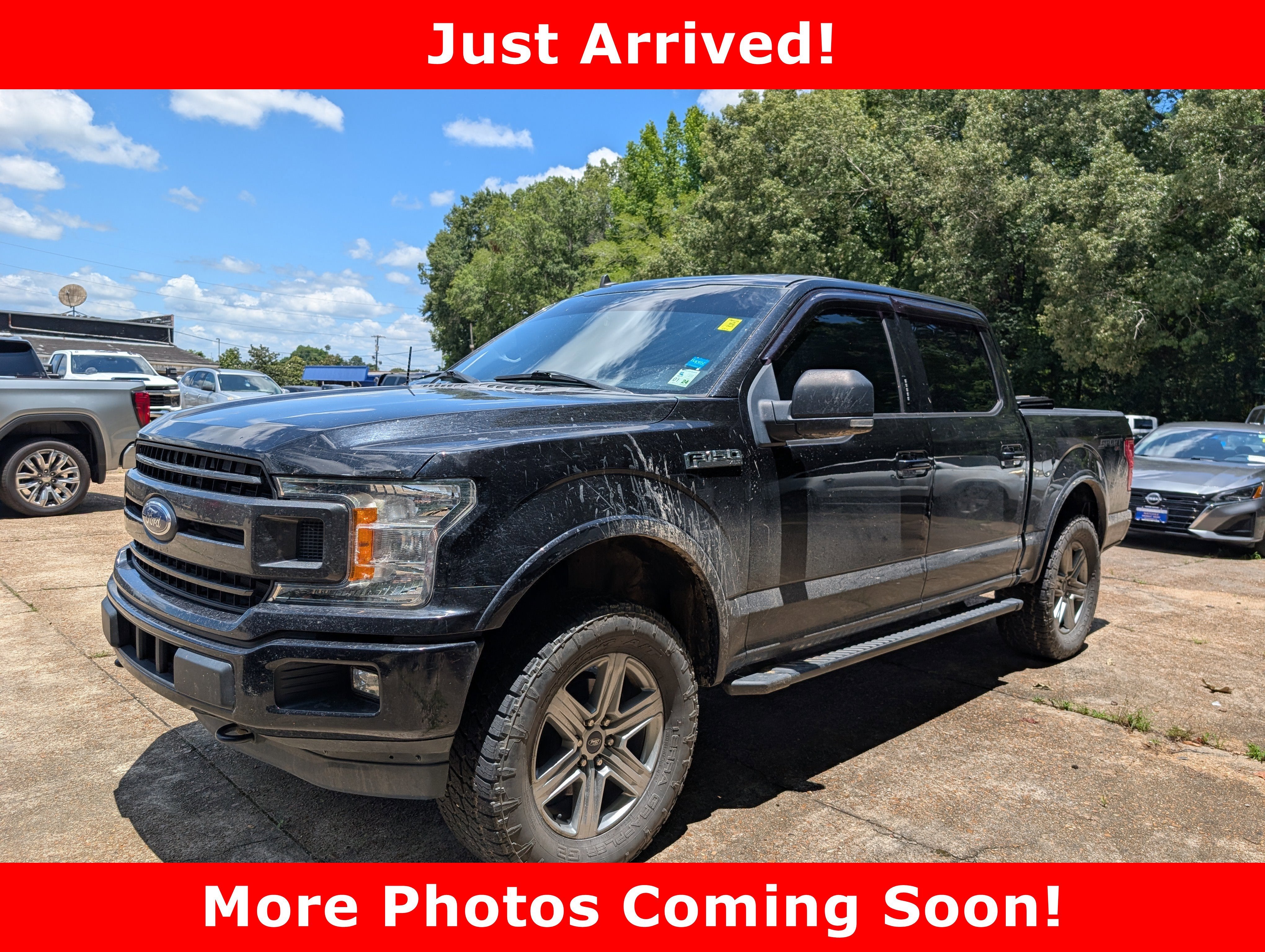 2019 Ford F-150 XL